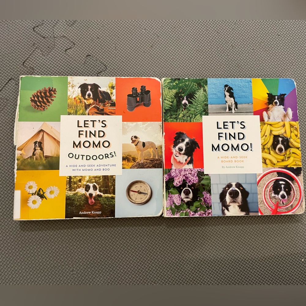 Let’s find Momo. 2 board books for toddlers